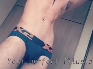 Your_perfect_illusion