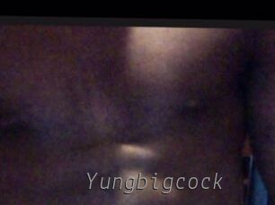 Yungbigcock