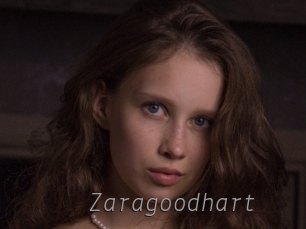 Zaragoodhart