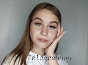 Zeldacannon