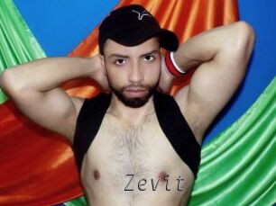 Zevit